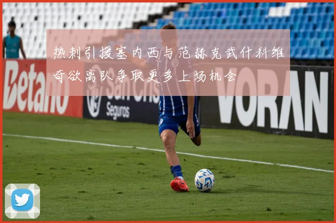 热刺引援塞内西与范赫克武什科维奇欲离队争取更多上场机会